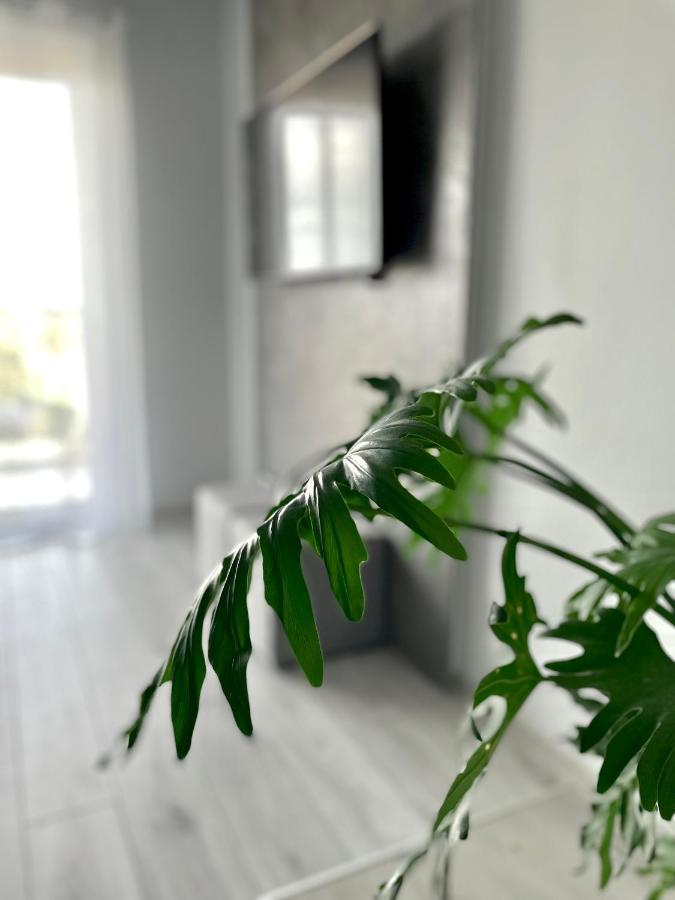 Ach, To Tu- Apartament Łańcut Dış mekan fotoğraf